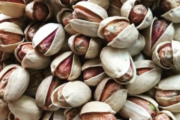تصویر 1 از قیمت و خرید پسته کله قوچی درشت + فروش ارزان